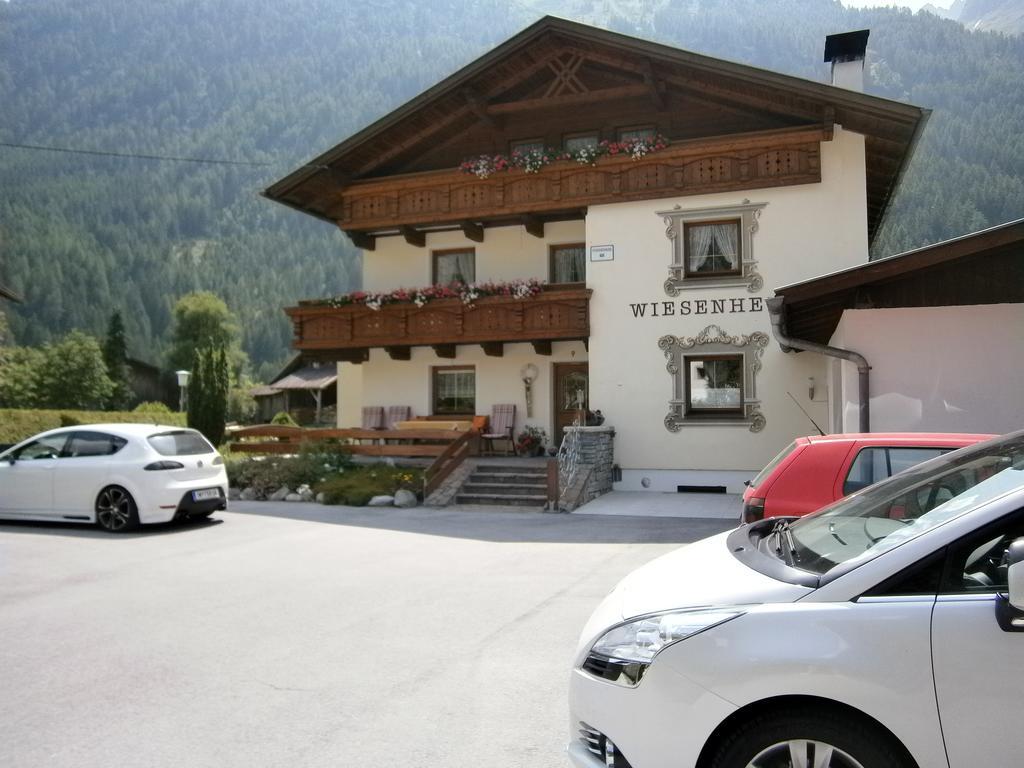 Haus Wiesenheim Fw Oetztal Лангенфельд Экстерьер фото