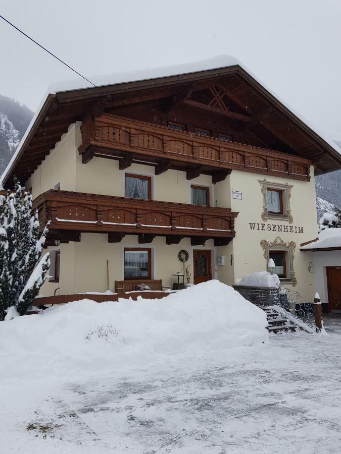 Haus Wiesenheim Fw Oetztal Лангенфельд Экстерьер фото