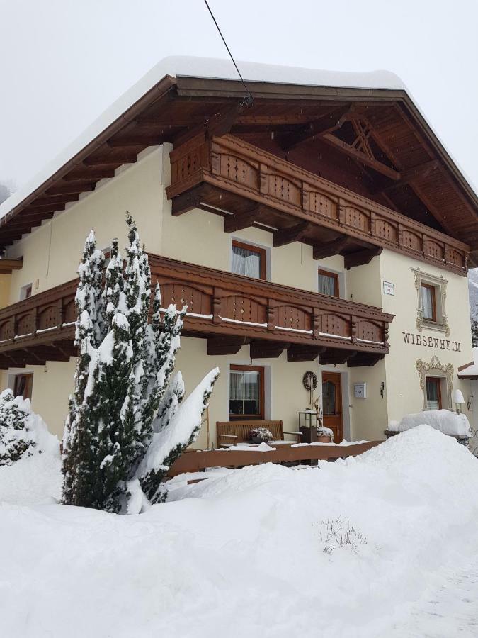 Haus Wiesenheim Fw Oetztal Лангенфельд Экстерьер фото